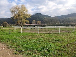 Candeliria Equestrian center