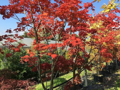 Hortilus Garden Center