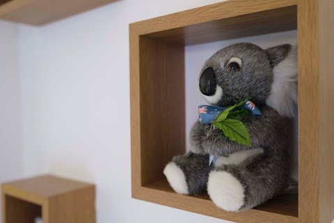 Koala spedizioni