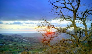 Tenuta le Querce