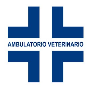 Ambulatorio Veterinario Via Dante
