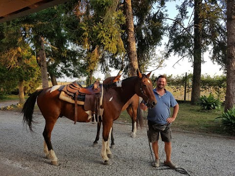 Agriturismo B&B La Storara Di Cavinato Leonardo