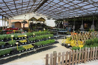 Floricoltura Green House