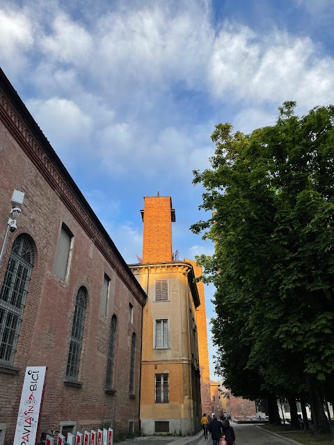 Università degli Studi di Pavia