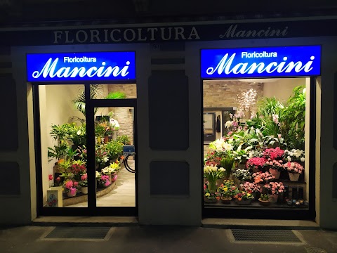 Mancini Fiorista Interflora
