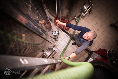 Cantina e Distilleria Artigianale Ricasoli - "Le Vigne del Capitano"