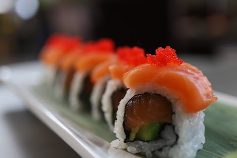 Toki Sushi-Asian - Faenza