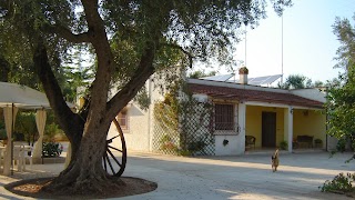 B&B Villa Lucia