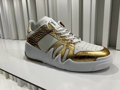 Giuseppe Zanotti