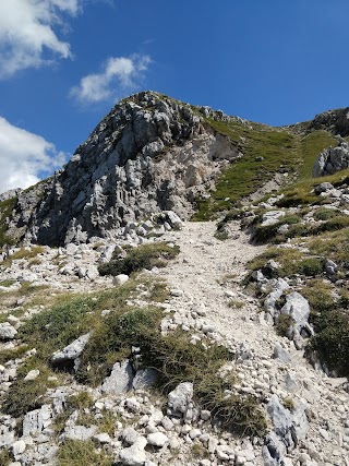 Monte Tarino 1960m