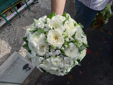 Massimino flowers designer