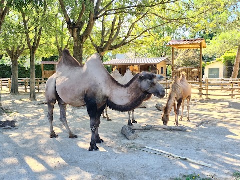 Parco Zoo Punta Verde