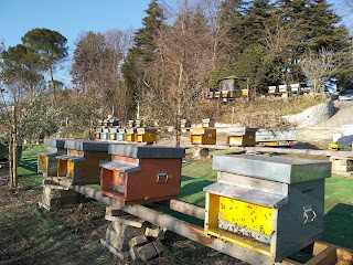 Azienda agricola I Tigli apiario didattico