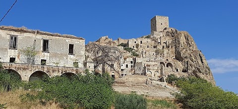 I Viaggi del Cavallino