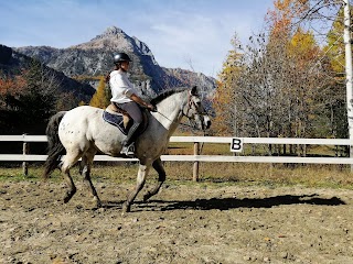 Silverado equitrek A. agricola