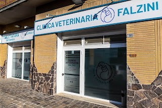 Clinica Veterinaria Falzini