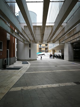 Università Bocconi- Aula Magna