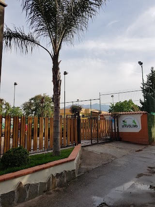 Tennis Club Iervolino