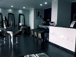 HAIRFUSION Salon - PARRUCCHIERE ORBASSANO