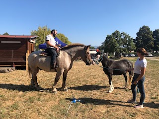 UNIO Horses - Scuola di Equitazione in Mugello