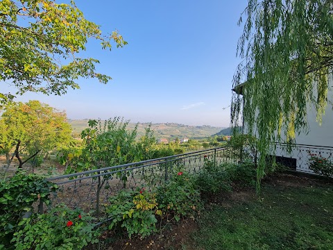 La Terrazza Sui Vigneti