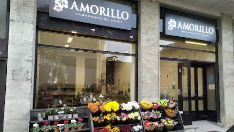 Amorillo Fiori Varese