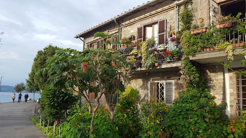 Consorzio Lago di Bracciano