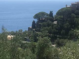 Terre di Mare in Liguria Verde Azzurro Immobiliare