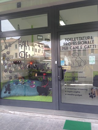 Hall of Grooming - Toelettatura professionale