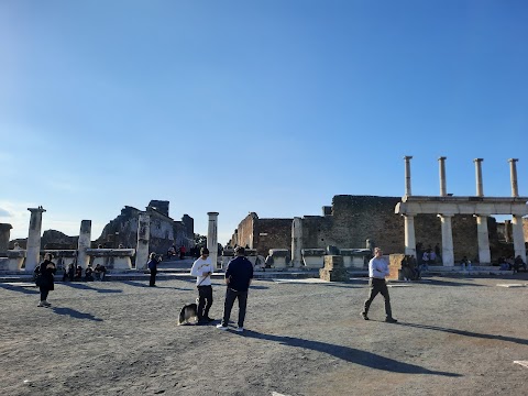 Guide Turistiche Pompei - Pompeii Guides