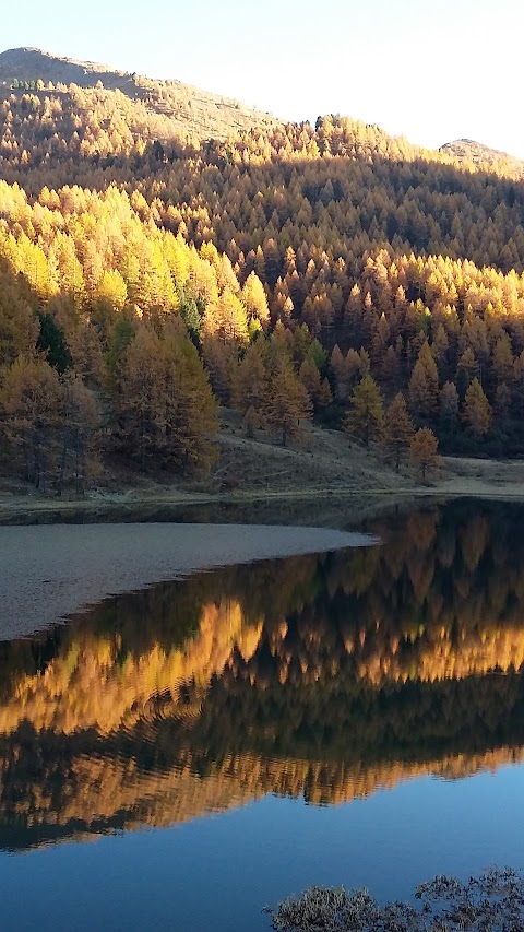 Fattoria Lago Nero Vendita Formaggi