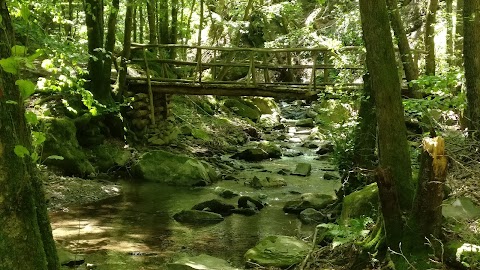 Sorgenti del Fiume Bisenzio