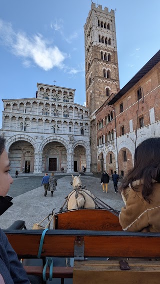 Lucca Horse Carriage - Carrozza Lucca