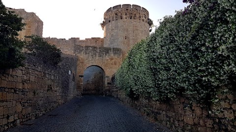 Claudia Moroni Guida Turistica Ufficiale Tarquinia