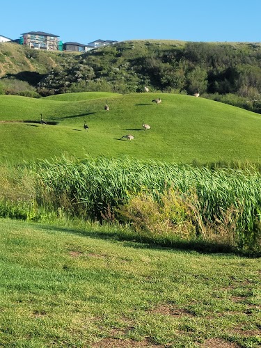 Cottonwood Coulee Golf Course