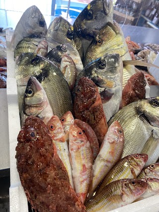 Pescheria "Stella di mare"