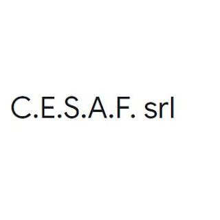 C.E.S.A.F. srl