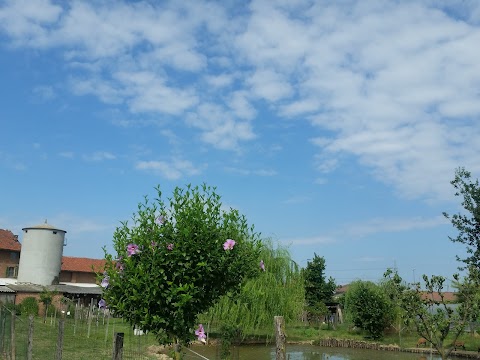 Abbazia Santa Maria di Casanova