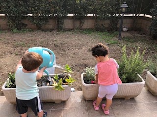 Nido Famiglia Una Margherita per amica