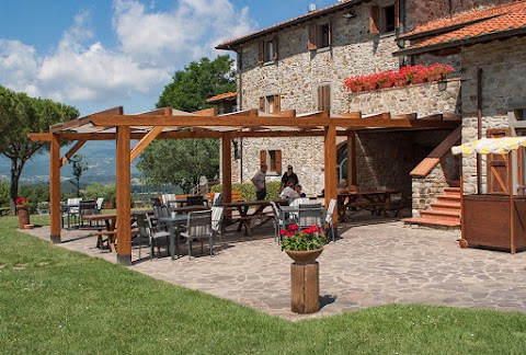 Agriturismo "La Collina delle Stelle" - Toscana, Tuscany - Vacanze per Gruppi, Holiday House for Groups