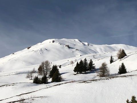 Snowkiting Centre - K.S.C. Kite Sports Centre