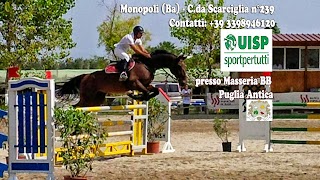 Maneggio "A.s.d. Equestrian Academy" - Monopoli - Scuola di Equitazione