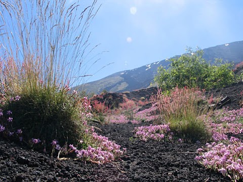 Baita nei boschi del Parco dell'Etna