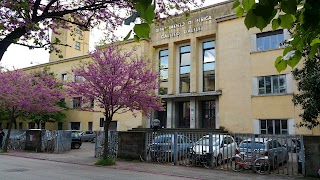 Università Degli Studi di Padova - Dipartimento di Fisica e Astronomia G. Galilei