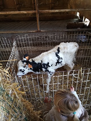 La Fattoria Dei Bambini - Società Agricola Belloli