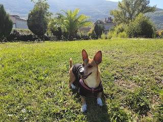 Ambulatorio Veterinario Dottor Minuto