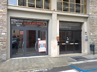 Cinema Accademia