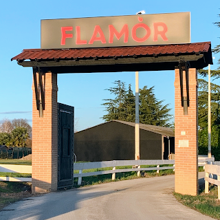 Flamòr