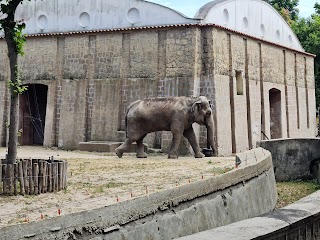 Lo Zoo di Napoli