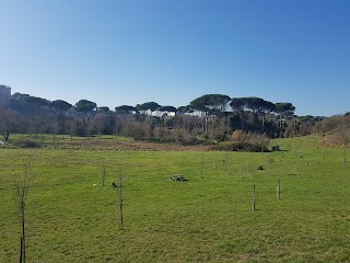 Parco dell'Inviolatella Borghese